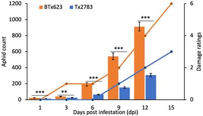 Integrated transcriptomic and pathway analyses of sorghum plants revealed the molecular mechanisms of host defense against aphids